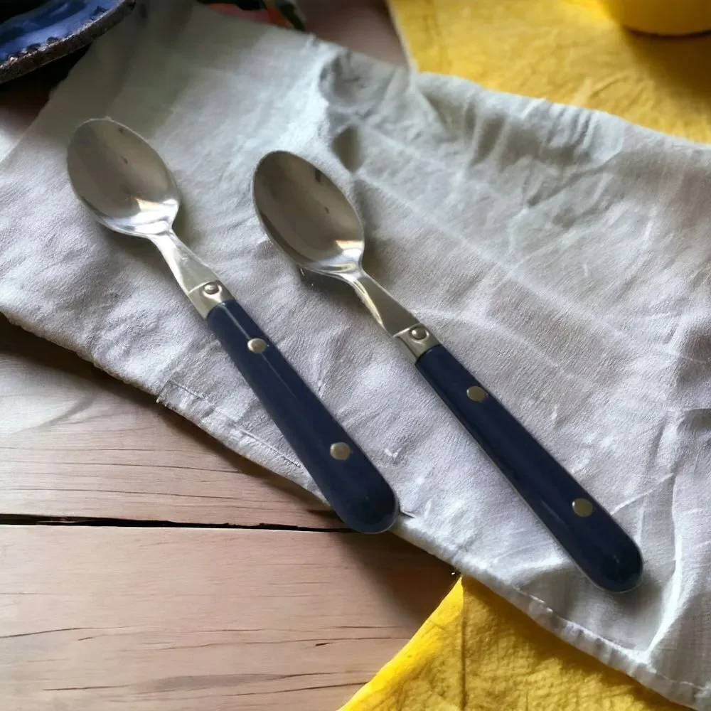 Vtg ANACAPA Teaspoon Set Pair Blue Handle Stainless Steel Retro Melamine Acrylic